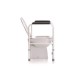 Cadru WC cu patru picioare - RS908