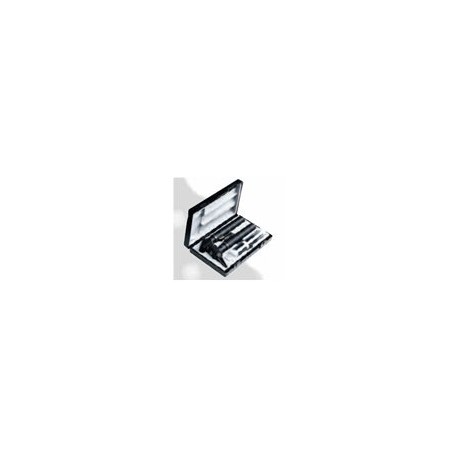 Oto-oftalmoscop Riester Ri-mini negru 2.5V HL- RIE3012